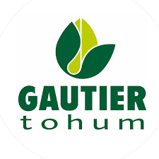 GAUTİER