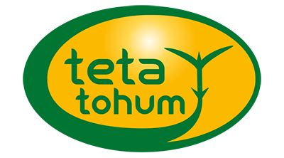 TETA TOHUM