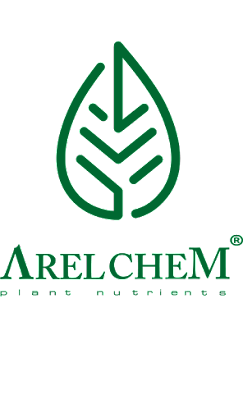 AREL CHEM