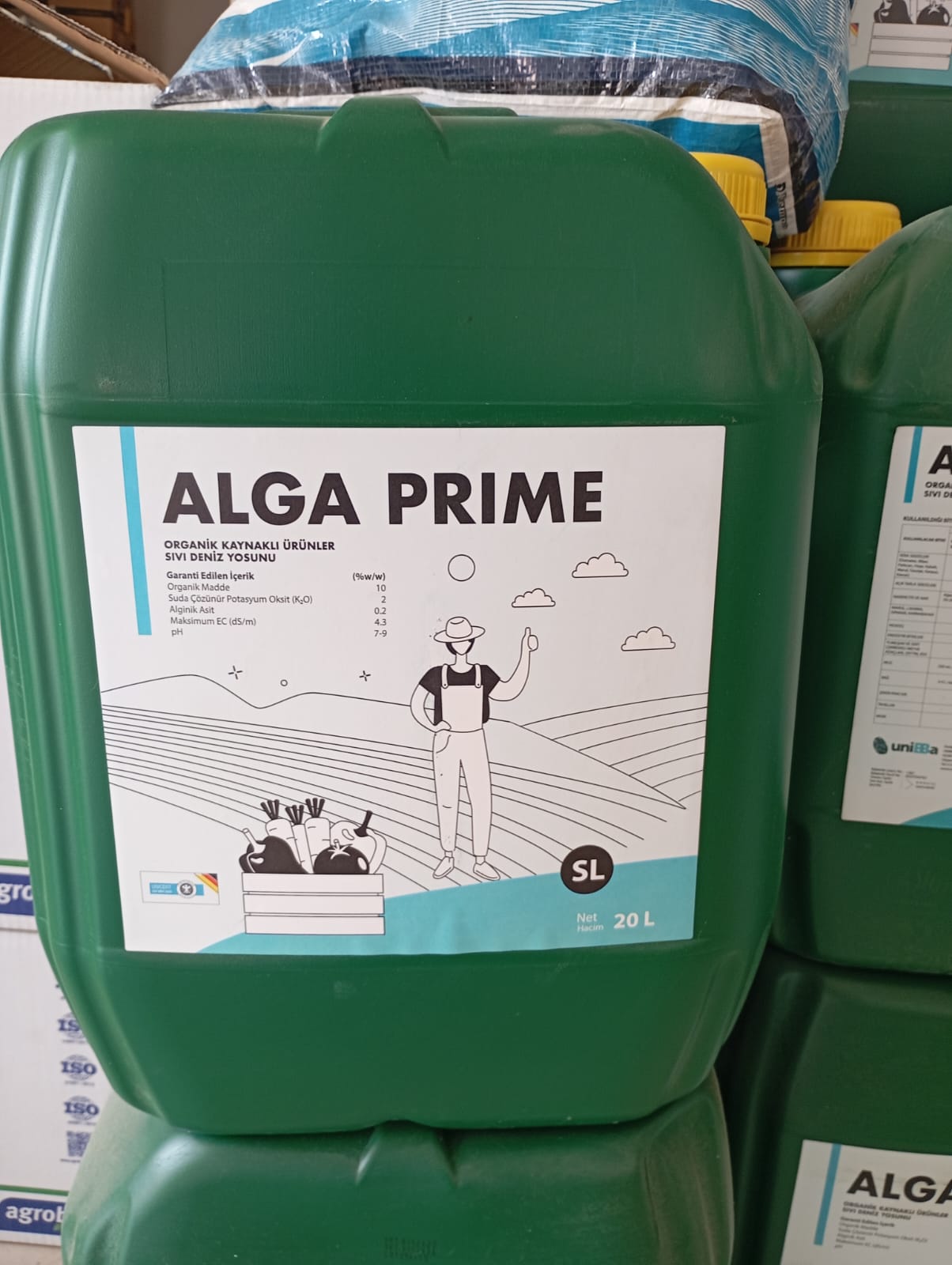 ALGA PRİME