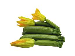 ARGETO CANSET F1 KABAK