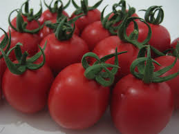 VERTY F1 DOMATES TOHUMU