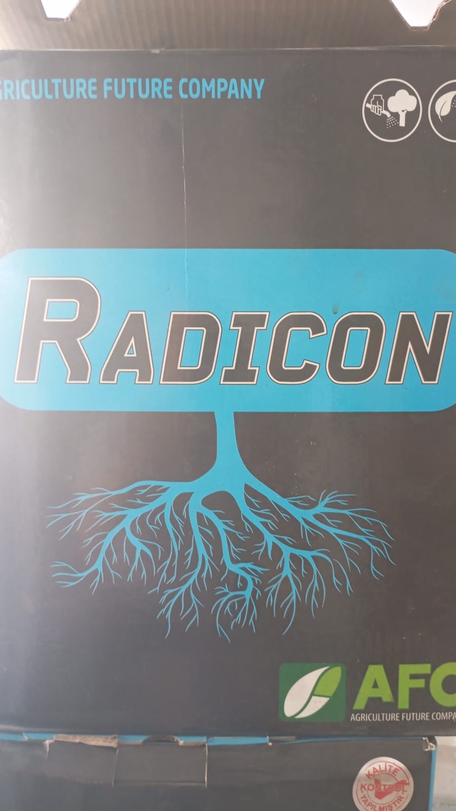 RADİCON