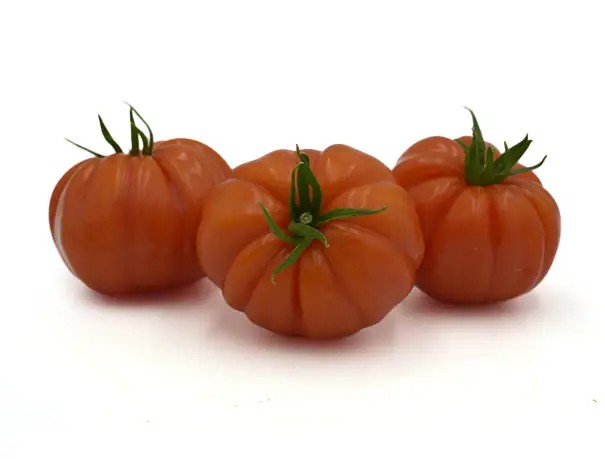 PEMBELİM F1 DOMATES TOHUMU