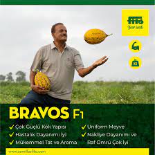 BRAVOS KAVUN TOHUMU