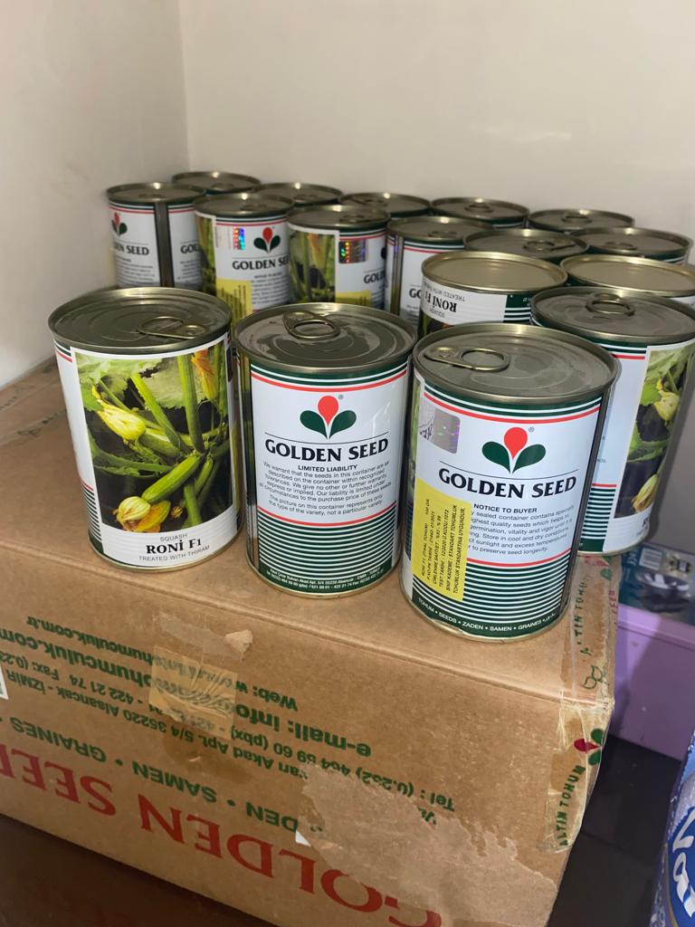 Golden Seed Roni F1 Kabak Tohumu 100 Gr 32