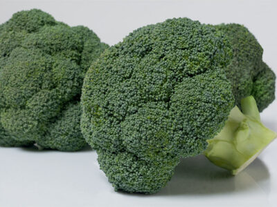 BATAVIA BROKOLİ TOHUMU