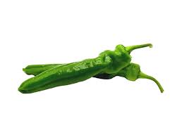 ARGETO ILGIN F1 BİBER KAPYA