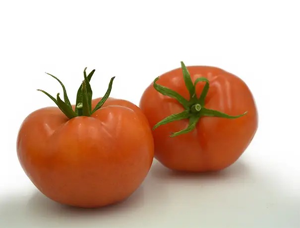 TUNAY F1 DOMATES TOHUMU