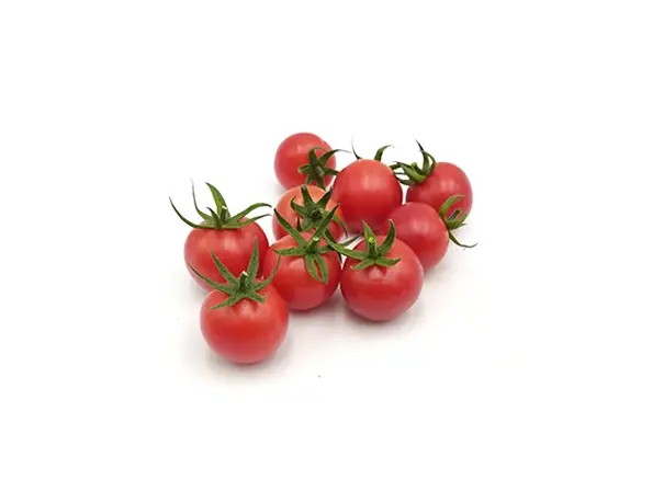 AKÇAY F1 DOMATES TOHUMU