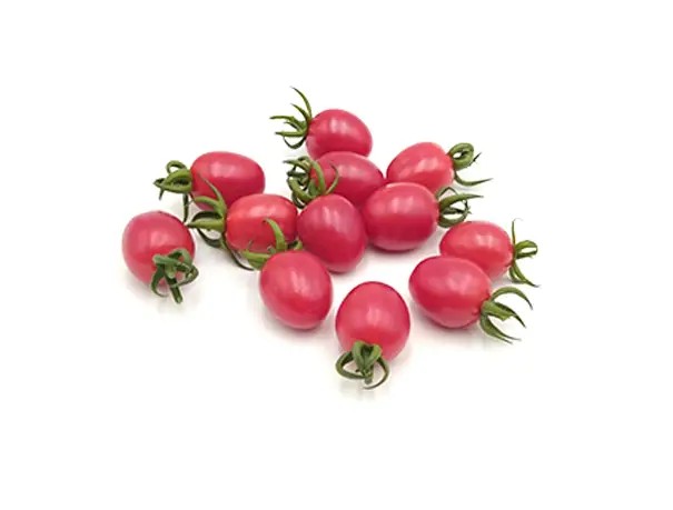 AYBEN F1 DOMATES TOHUMU