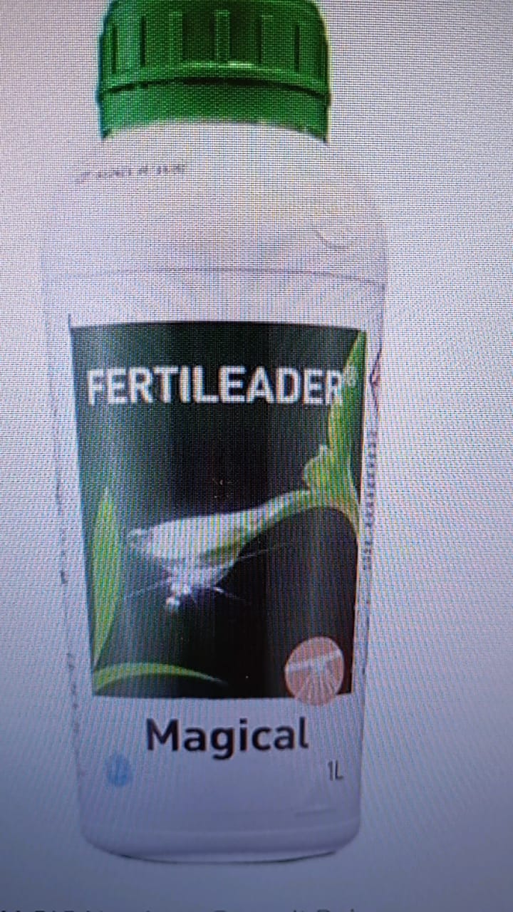 FERTILEADER MAGİCAL