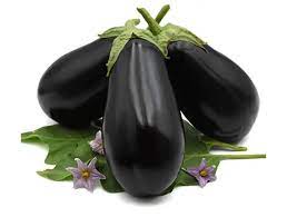 KUMA F1 PATLICAN TOHUMU