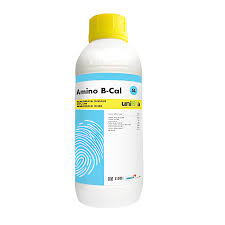 AMİNO B CAL
