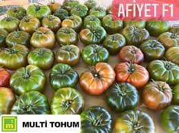 AFİYET F1 DOMATES TOHUMU