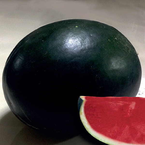 KARAOĞLAN F1 SUGAR BABY TİPİ KARPUZ TOHUMU